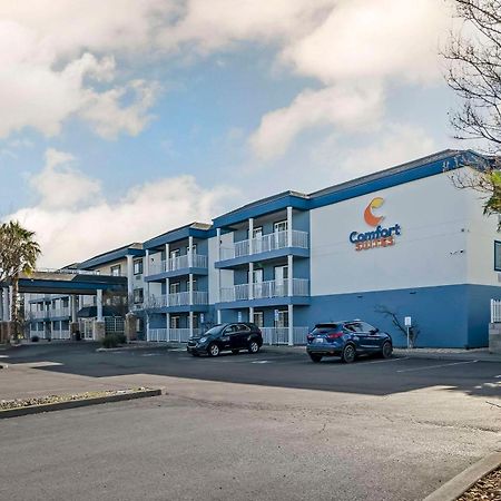 Comfort Suites Red Bluff Near I-5 Exteriör bild
